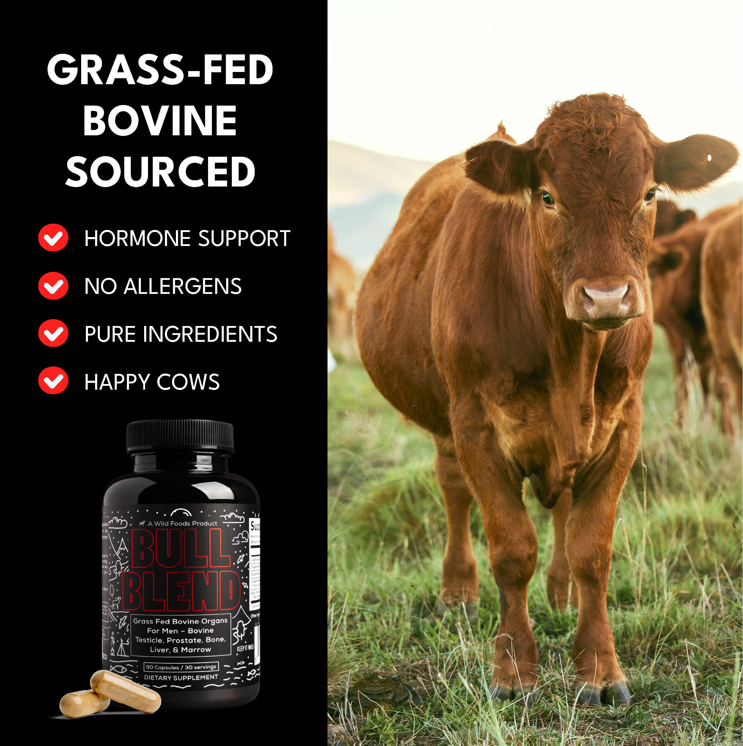 The Wild Man Stack: Bull Blend Organs Complex + Wild Man Herbal Mineral Natural Testosterone Support by Wild Foods