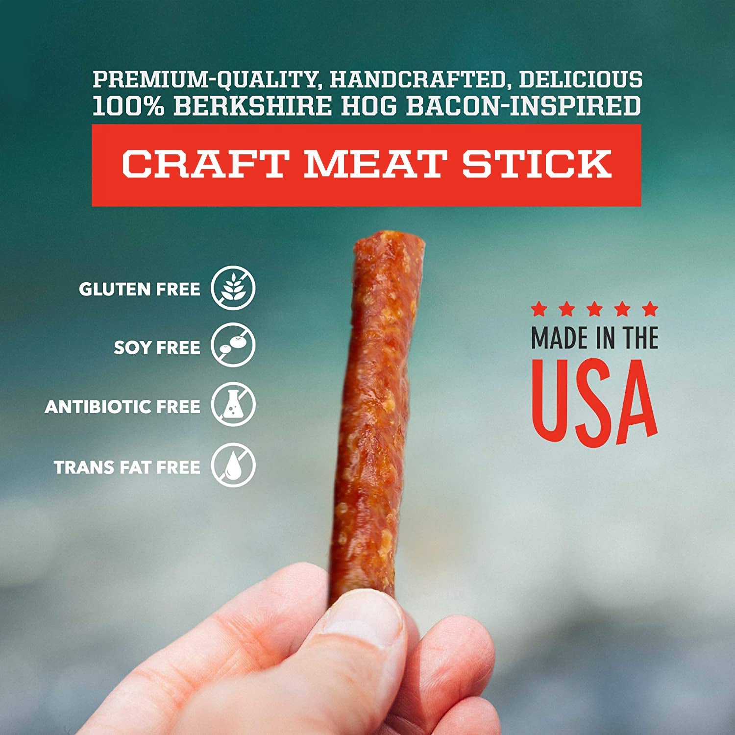 Craft Pork Snack Sticks - One Case (20 sticks) by Big Fork Brands