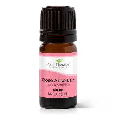  Rose Absolute Oil, 5 mL Plant Therapy Perfumarie