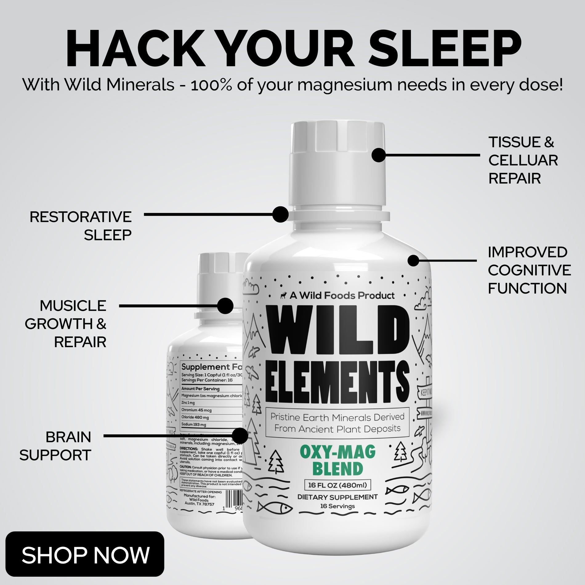 Oxy-Mag: Oxygen & Magnesium Minerals Blend - Case of SIX by Wild Foods