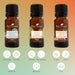  Sweater Weather Essential Oil Blend Set Plant Therapy Perfumarie