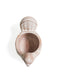  Terracotta Pot - Spotted Dove by KORISSA KORISSA Perfumarie