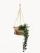  Jhuri Single Hanging Basket by KORISSA KORISSA Perfumarie