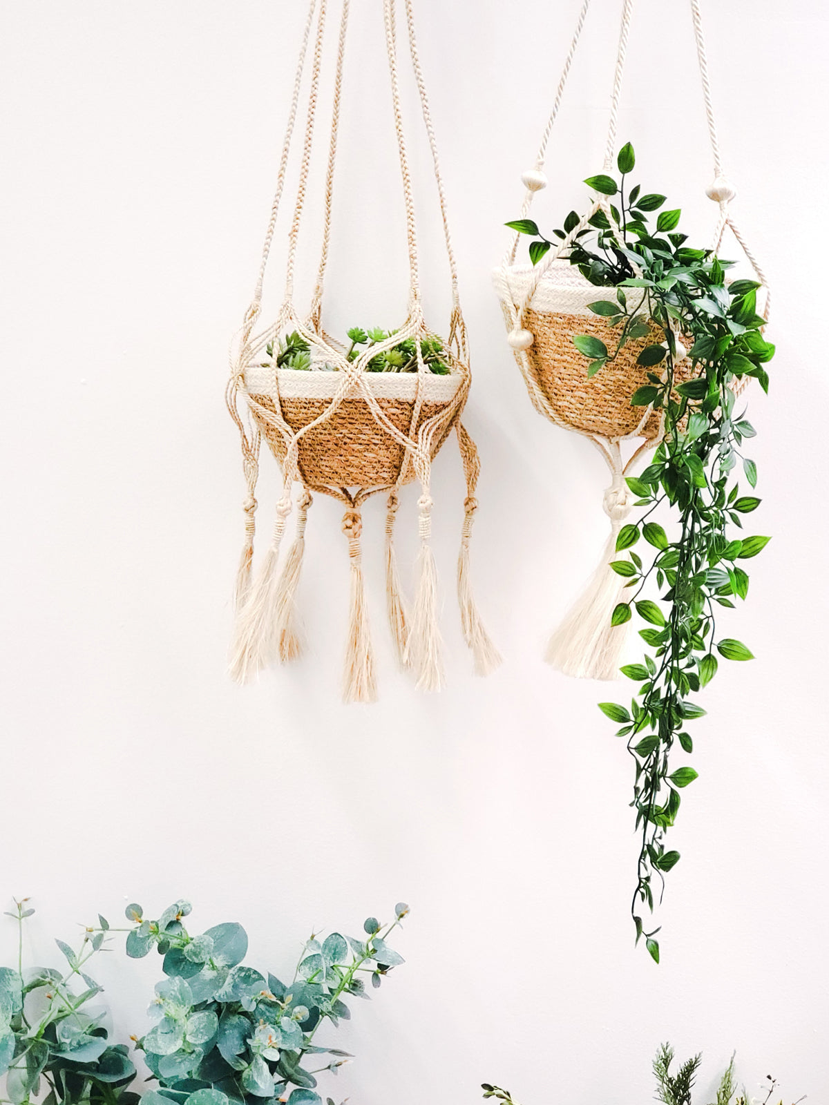  Plant Hanger - Bitan by KORISSA KORISSA Perfumarie