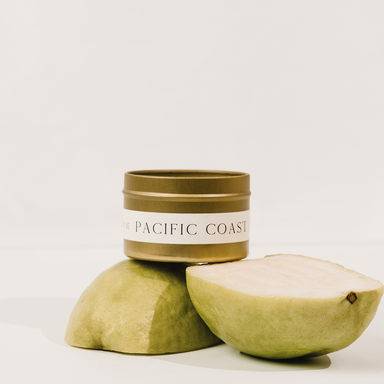  PACIFIC COAST Travel Tin Candle by Orchid + Ash Orchid + Ash Perfumarie