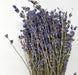  High-Grade French Lavender Flower BUNCH 14" L by OMSutra OMSutra Perfumarie