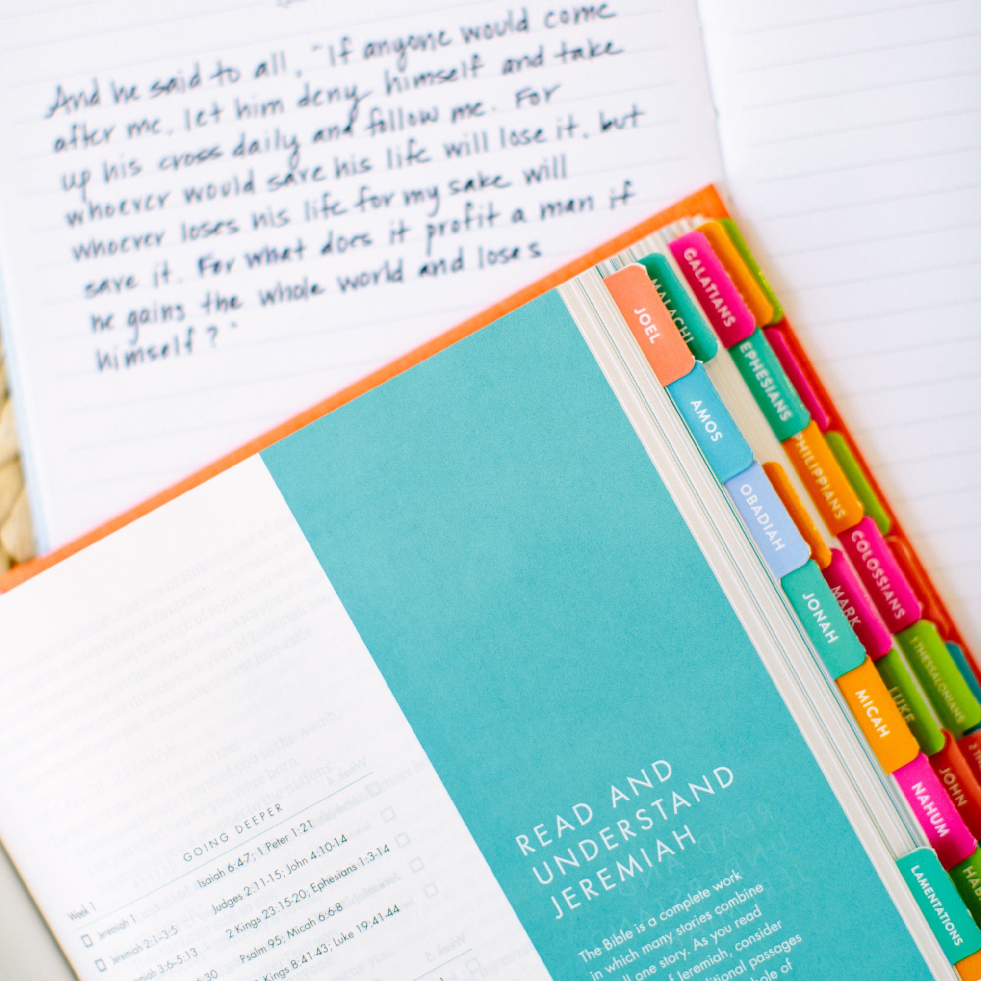  Colorful Bible Book Tabs by Cultivate Cultivate Perfumarie