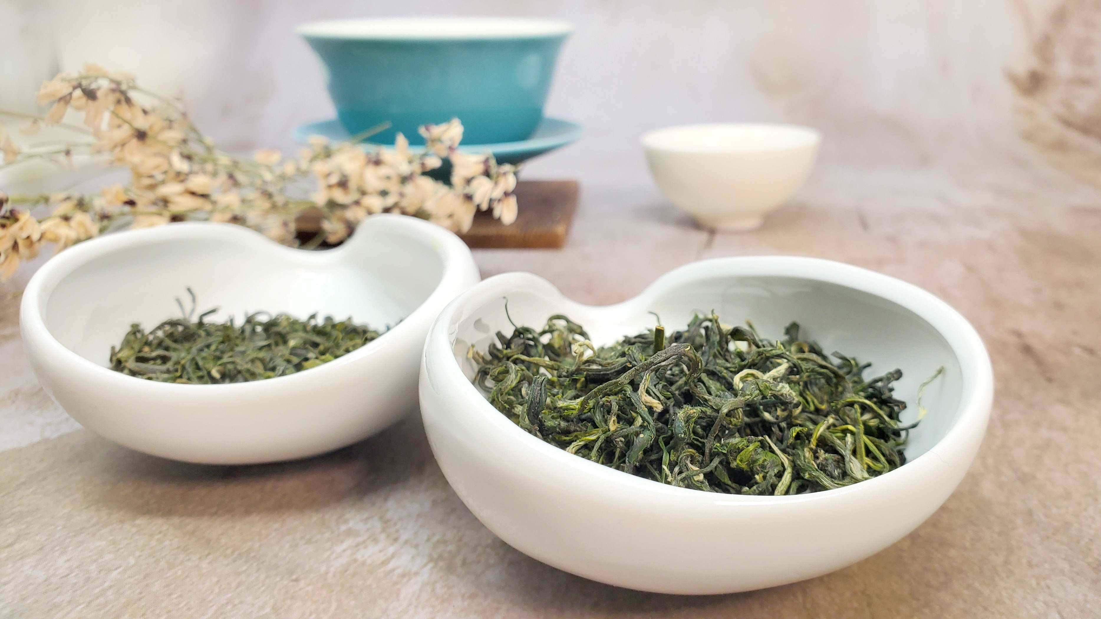  2022 Bi Luo Chun Green Tea by Tea and Whisk Tea and Whisk Perfumarie