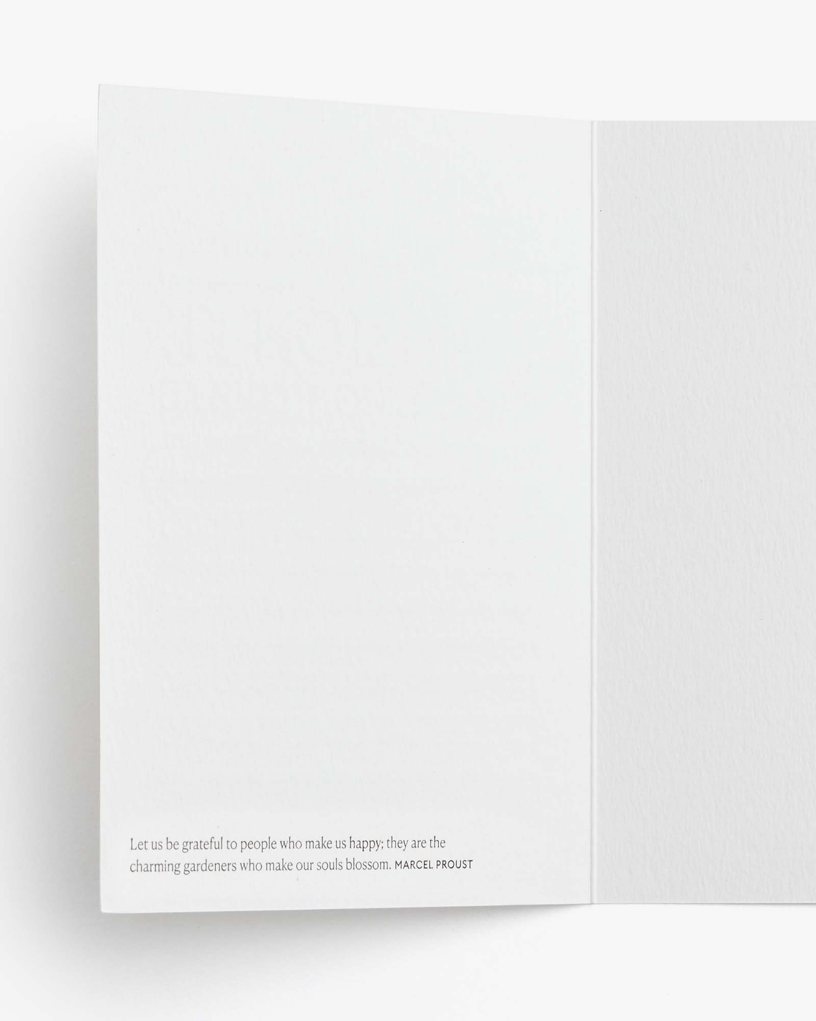  Thank You Occasion Cards - Thank You by Intelligent Change Intelligent Change Perfumarie