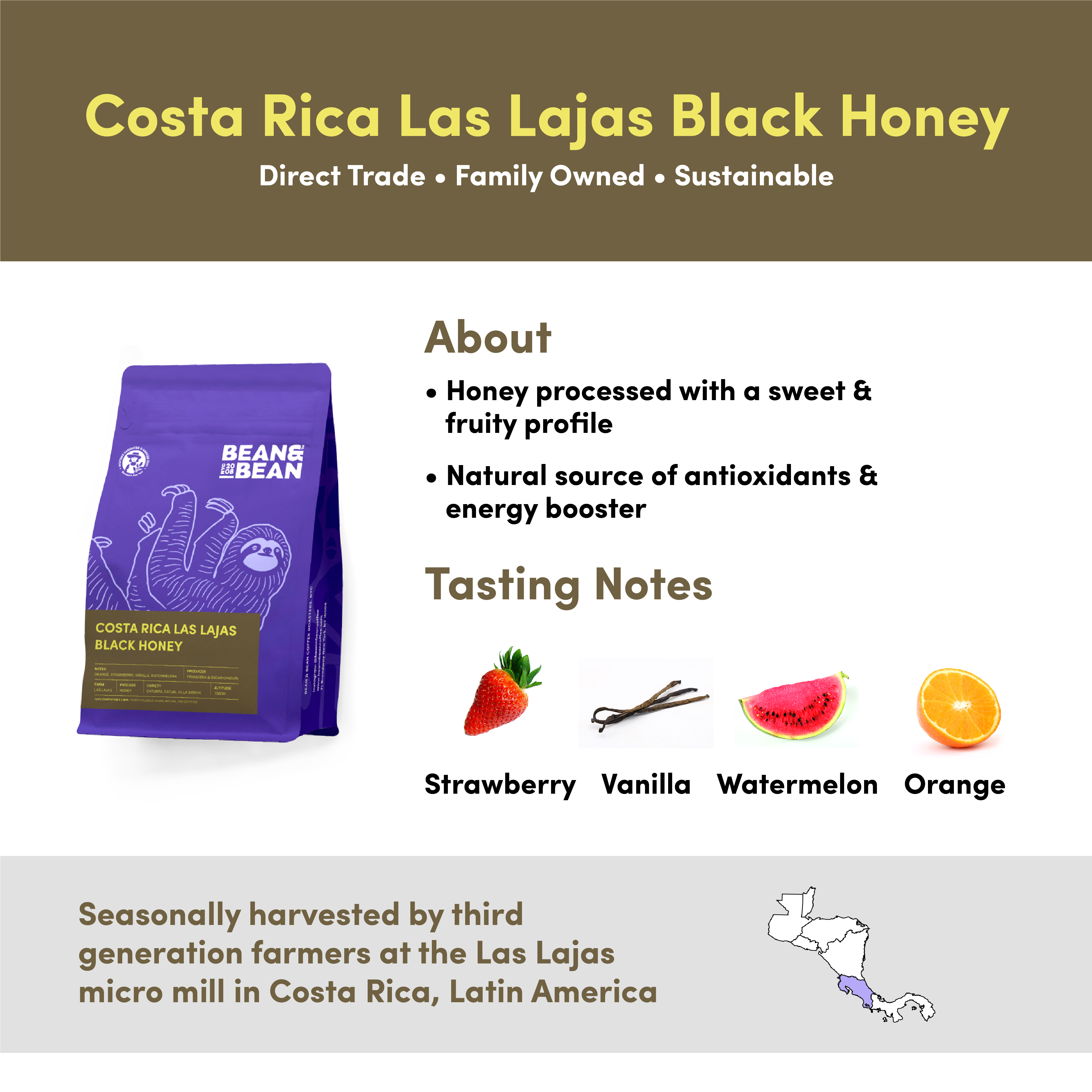 Costa Rica Las Lajas Black Honey by Bean & Bean Coffee Roasters Bean & Bean Coffee Roasters Perfumarie