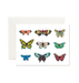  Butterflies by Forage Paper Co. Forage Paper Co. Perfumarie