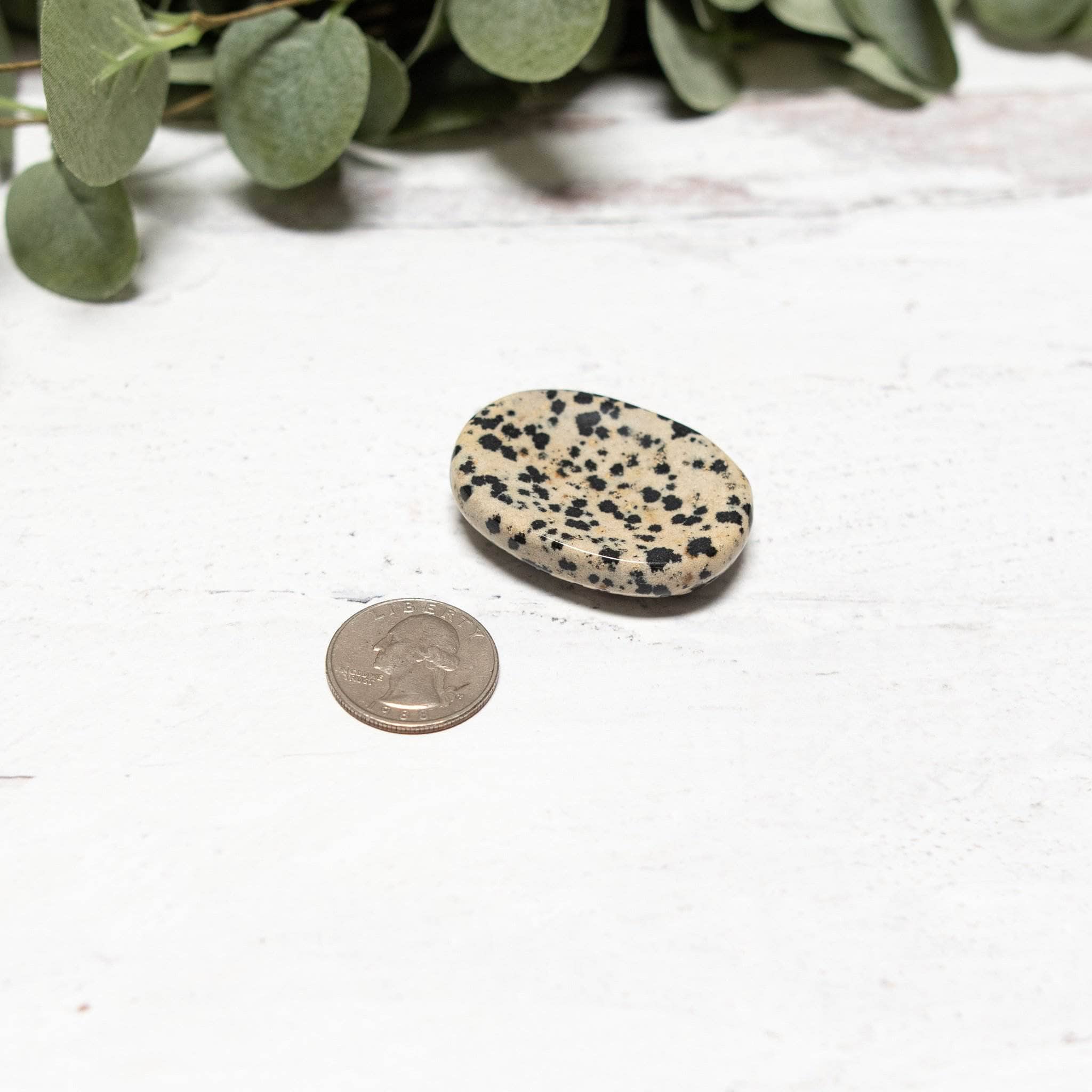  Dalmatian Jasper Worry Stone by Tiny Rituals Tiny Rituals Perfumarie