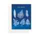  Fern Varieties by Forage Paper Co. Forage Paper Co. Perfumarie