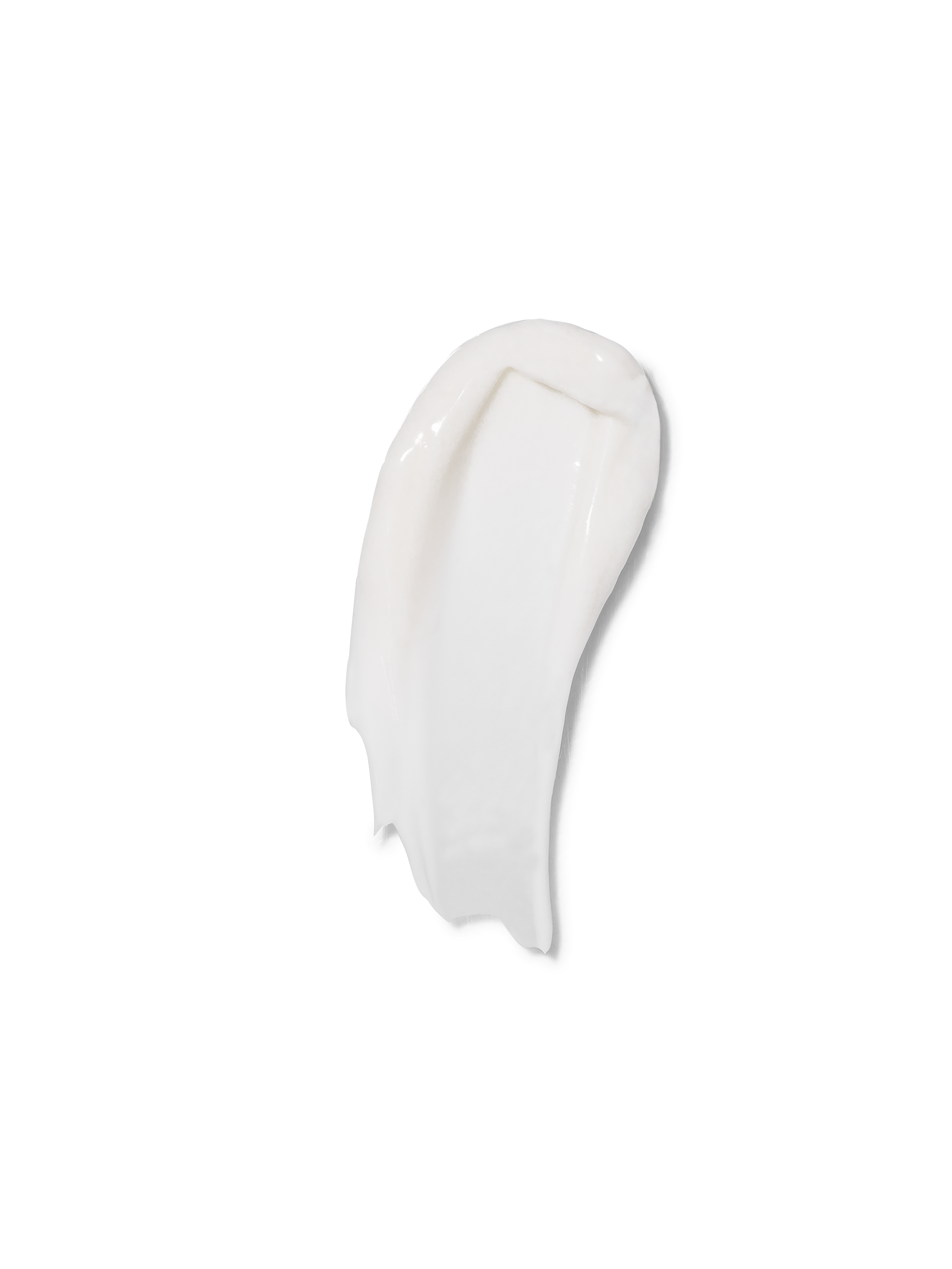  ROSEWATER CREAM | Radiance Enhancing Moisturizer Mullein and Sparrow Perfumarie