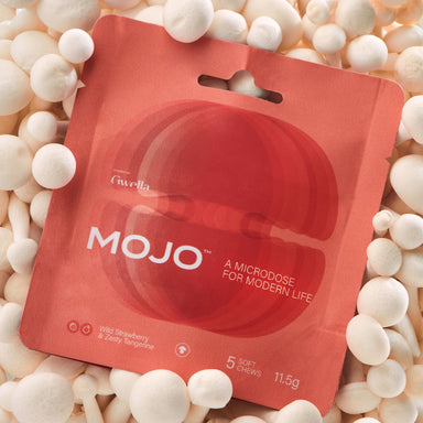  Brain Boost Gummies - Strawberry Tangerine by Mojo | Mushroom Dosed Gummies Mojo | Mushroom Dosed Gummies Perfumarie