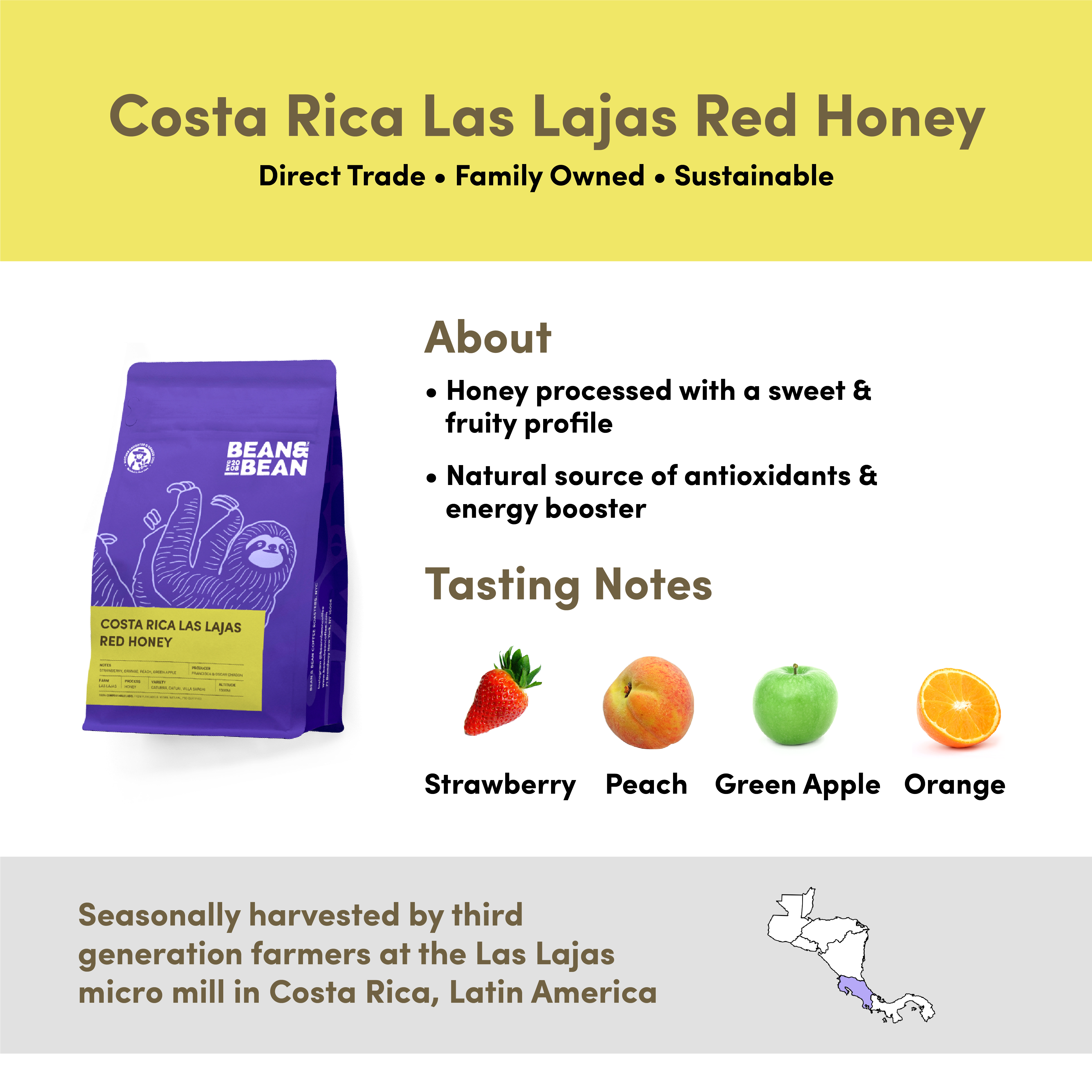  Costa Rica Las Lajas Red Honey by Bean & Bean Coffee Roasters Bean & Bean Coffee Roasters Perfumarie