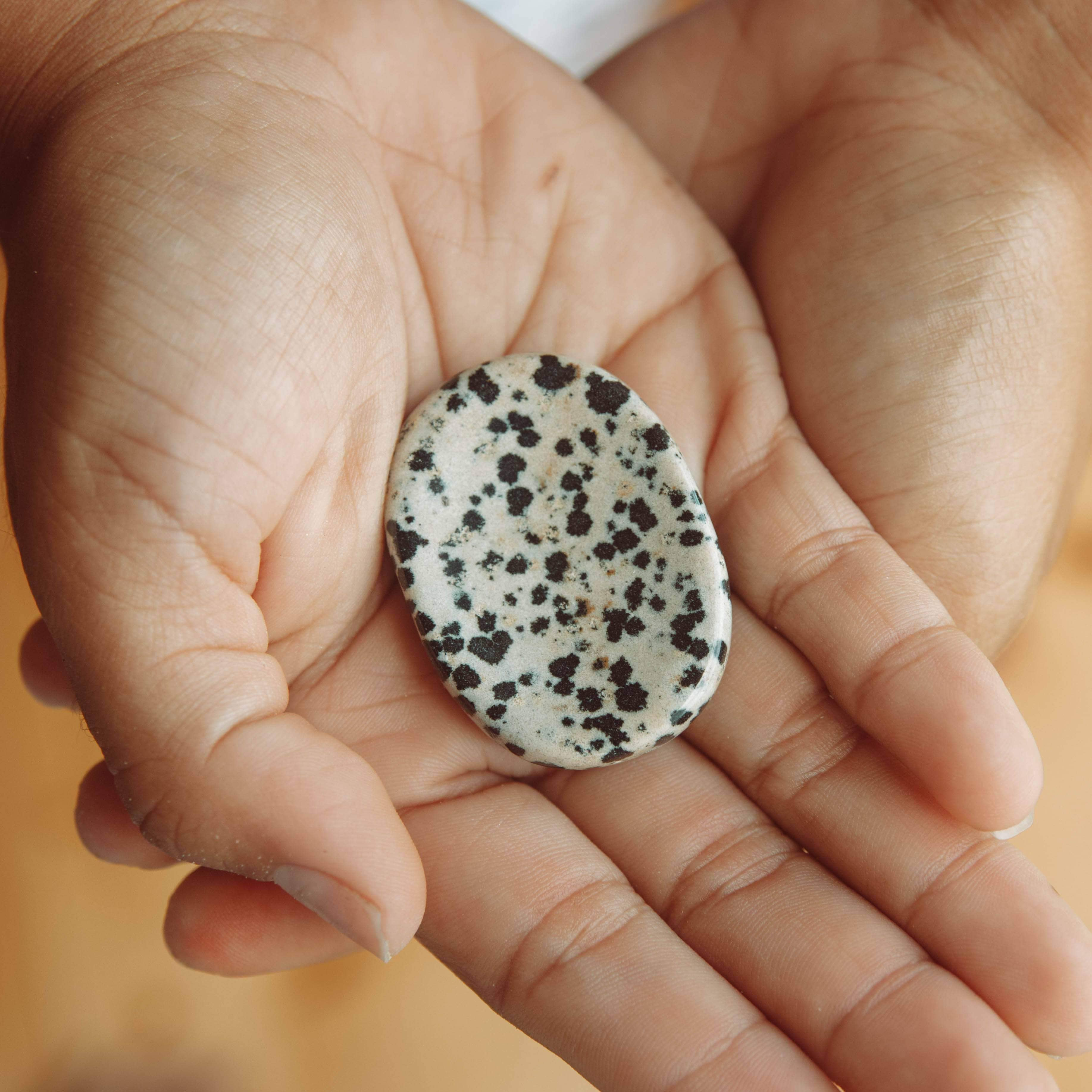  Dalmatian Jasper Worry Stone by Tiny Rituals Tiny Rituals Perfumarie