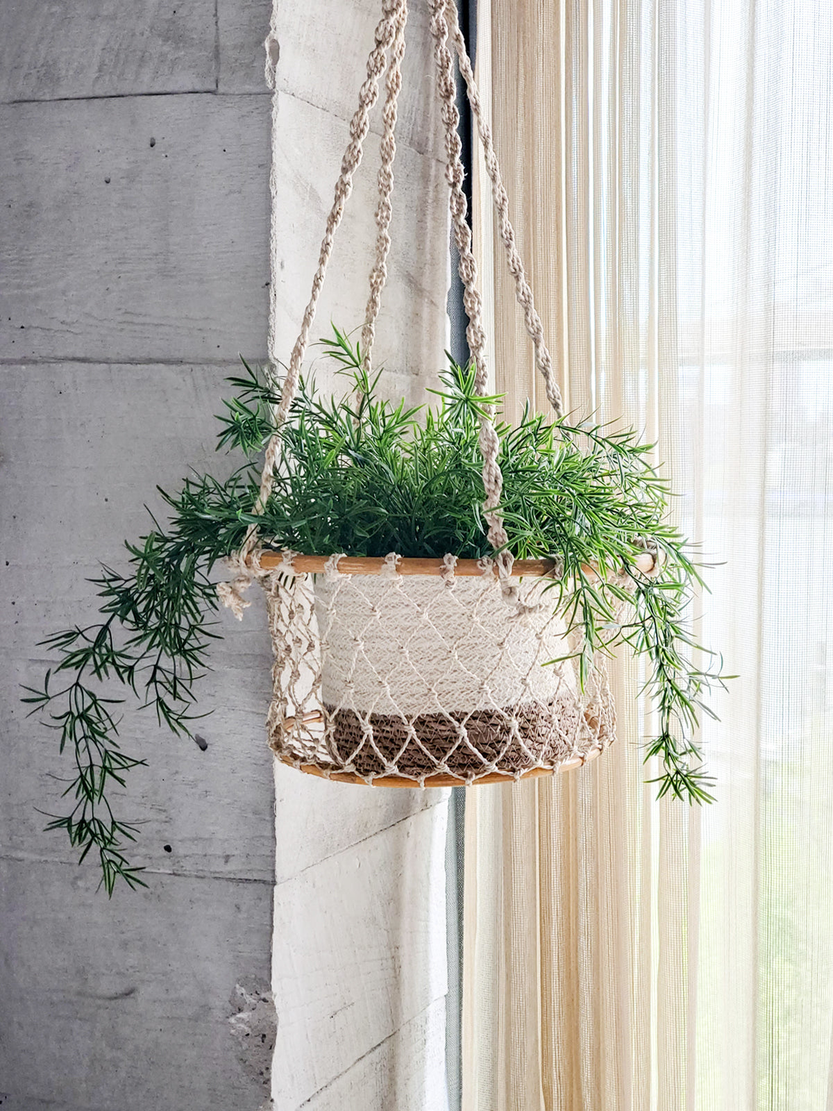  Jhuri Single Hanging Basket by KORISSA KORISSA Perfumarie