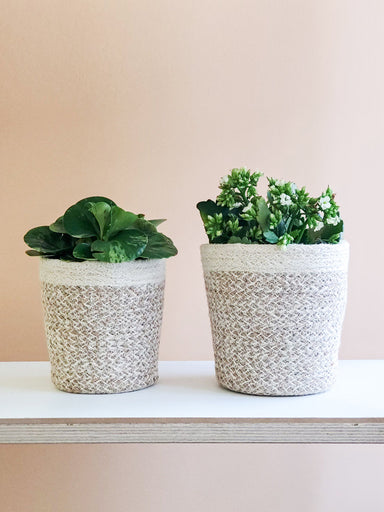  Agora Plant Basket - White by KORISSA KORISSA Perfumarie