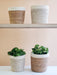  Agora Plant Basket - White by KORISSA KORISSA Perfumarie