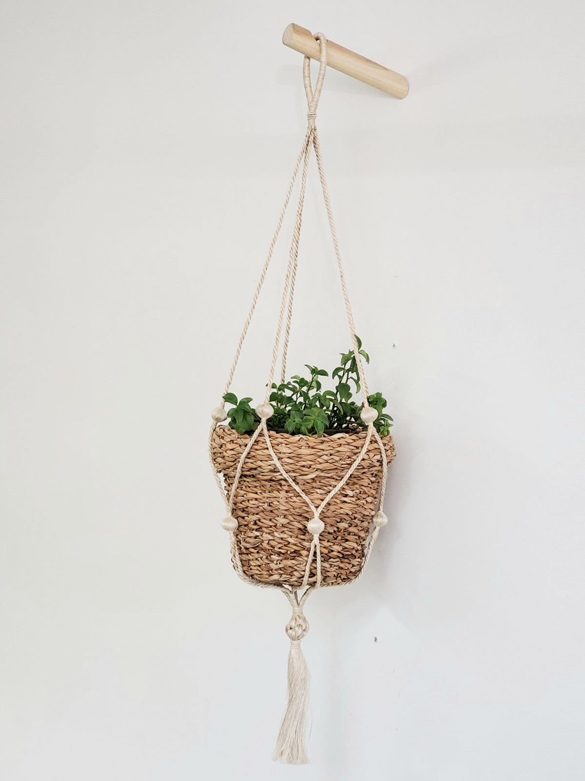  Savar Nesting Plant Basket by KORISSA KORISSA Perfumarie