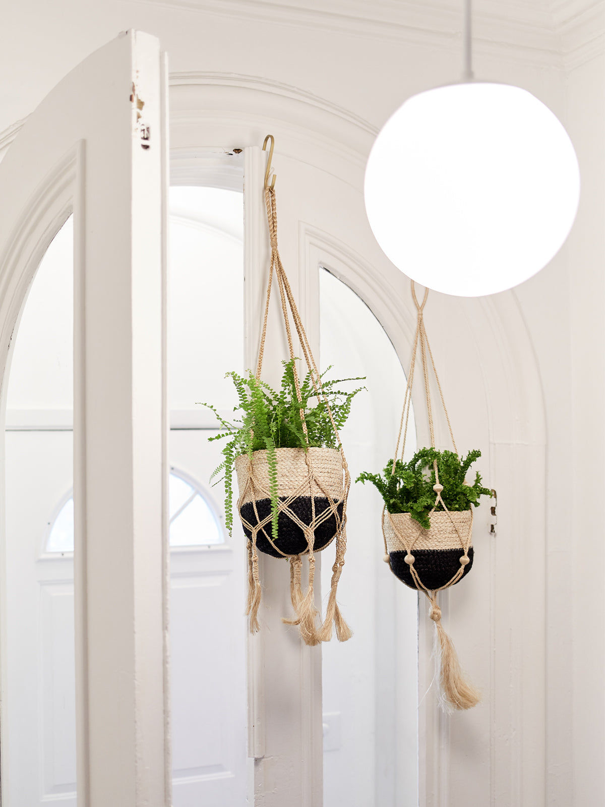  Plant Hanger - Bitan by KORISSA KORISSA Perfumarie