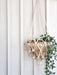  Plant Hanger - Shuly by KORISSA KORISSA Perfumarie