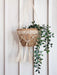  Plant Hanger - Bitan by KORISSA KORISSA Perfumarie
