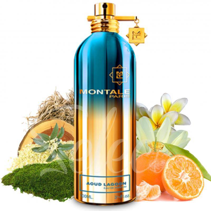  Aoud Lagoon Montale Perfumarie