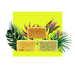  Invigorate Exfoliating Bar Soap Set by Dr. Jacobs Naturals Dr. Jacobs Naturals Perfumarie