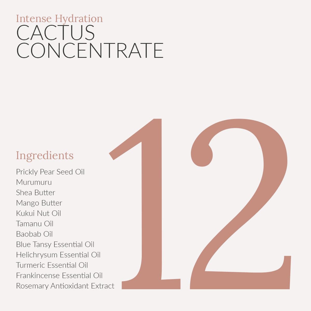  Intense Hydration Cactus Concentrate Bambu Earth Perfumarie