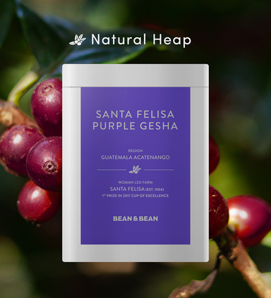  Santa Felisa Gesha Natural Heap by Bean & Bean Coffee Roasters Bean & Bean Coffee Roasters Perfumarie