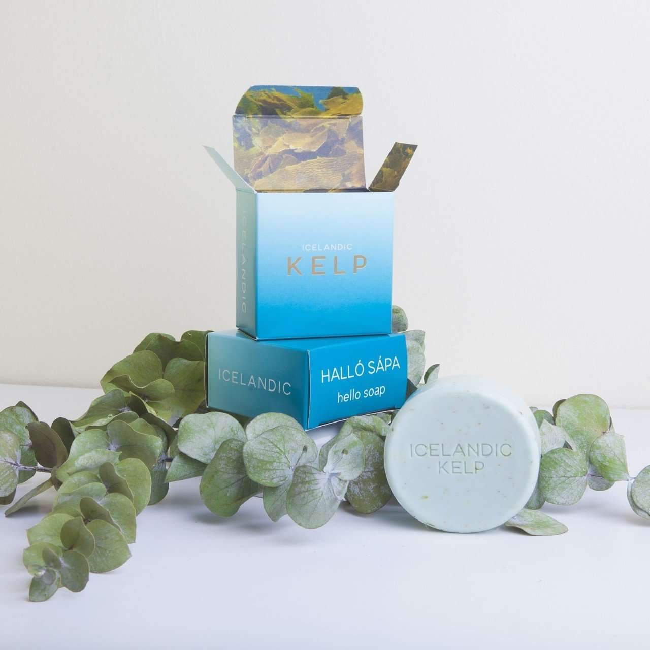  Icelandic Kelp Soap Halló Sapa Perfumarie