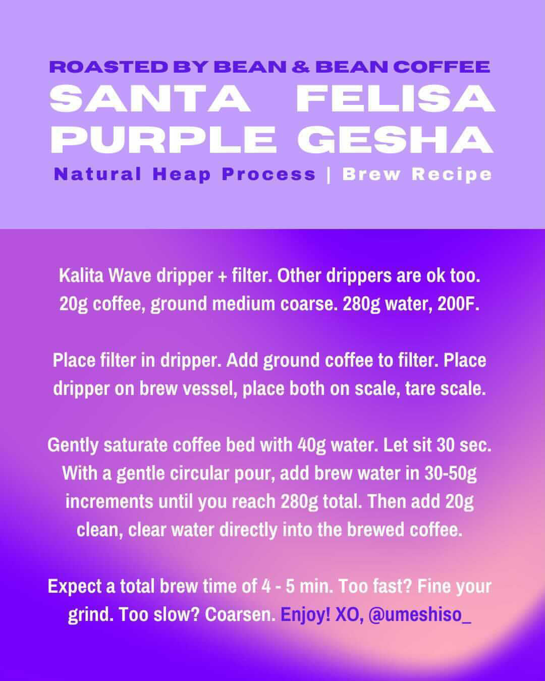  Santa Felisa Gesha Natural Heap by Bean & Bean Coffee Roasters Bean & Bean Coffee Roasters Perfumarie