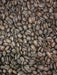  Ethiopian Gadeb Yirgacheffe Natural | Naturally Grown | Reserve | Light Roast (Roaster's Pick) by Black Powder Coffee Black Powder Coffee Perfumarie