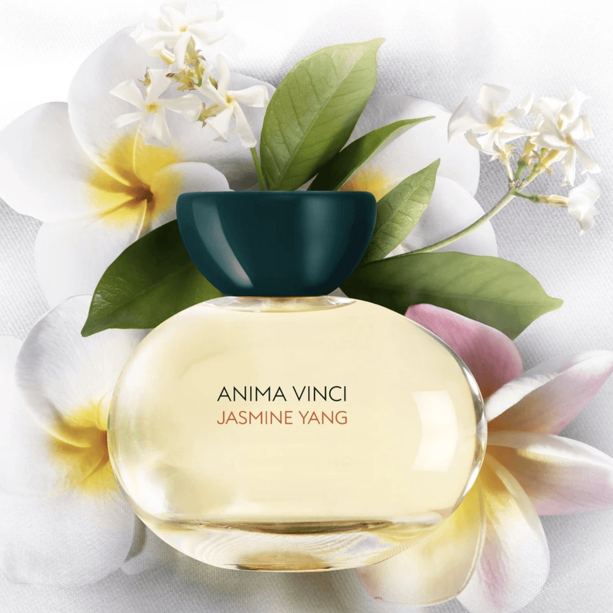 Anima Vinci Jasmine Yang Eau de Parfum — PERFUMARIE