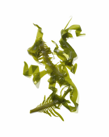  Mekabu Hydrating Conditioner 32 oz Masami Perfumarie