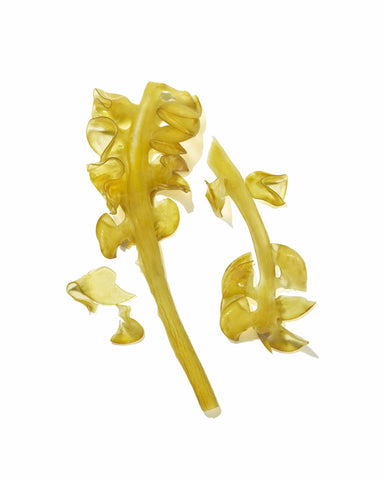  Mekabu Hydrating Shine Serum Masami Perfumarie