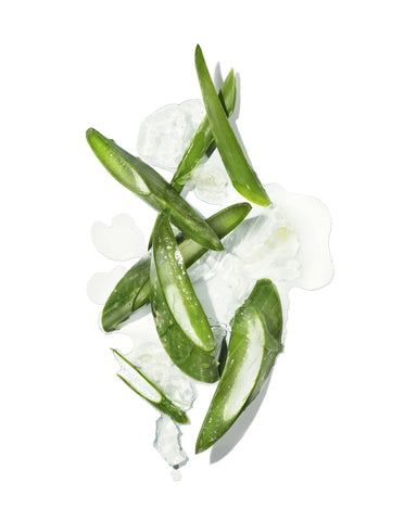  Mekabu Hydrating Styling Cream Masami Perfumarie