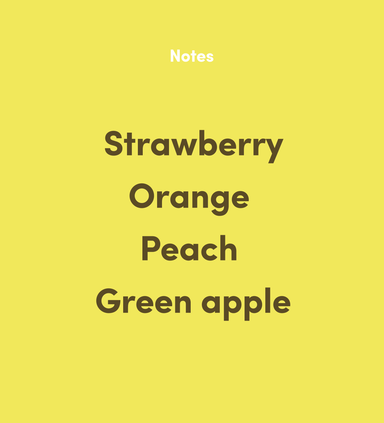  Costa Rica Las Lajas Red Honey by Bean & Bean Coffee Roasters Bean & Bean Coffee Roasters Perfumarie