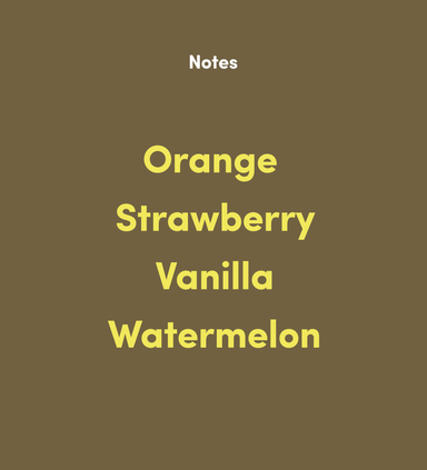  Costa Rica Las Lajas Black Honey by Bean & Bean Coffee Roasters Bean & Bean Coffee Roasters Perfumarie