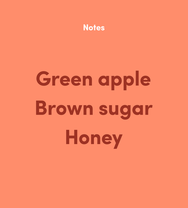  Hawaii Kona Extra Fancy by Bean & Bean Coffee Roasters Bean & Bean Coffee Roasters Perfumarie