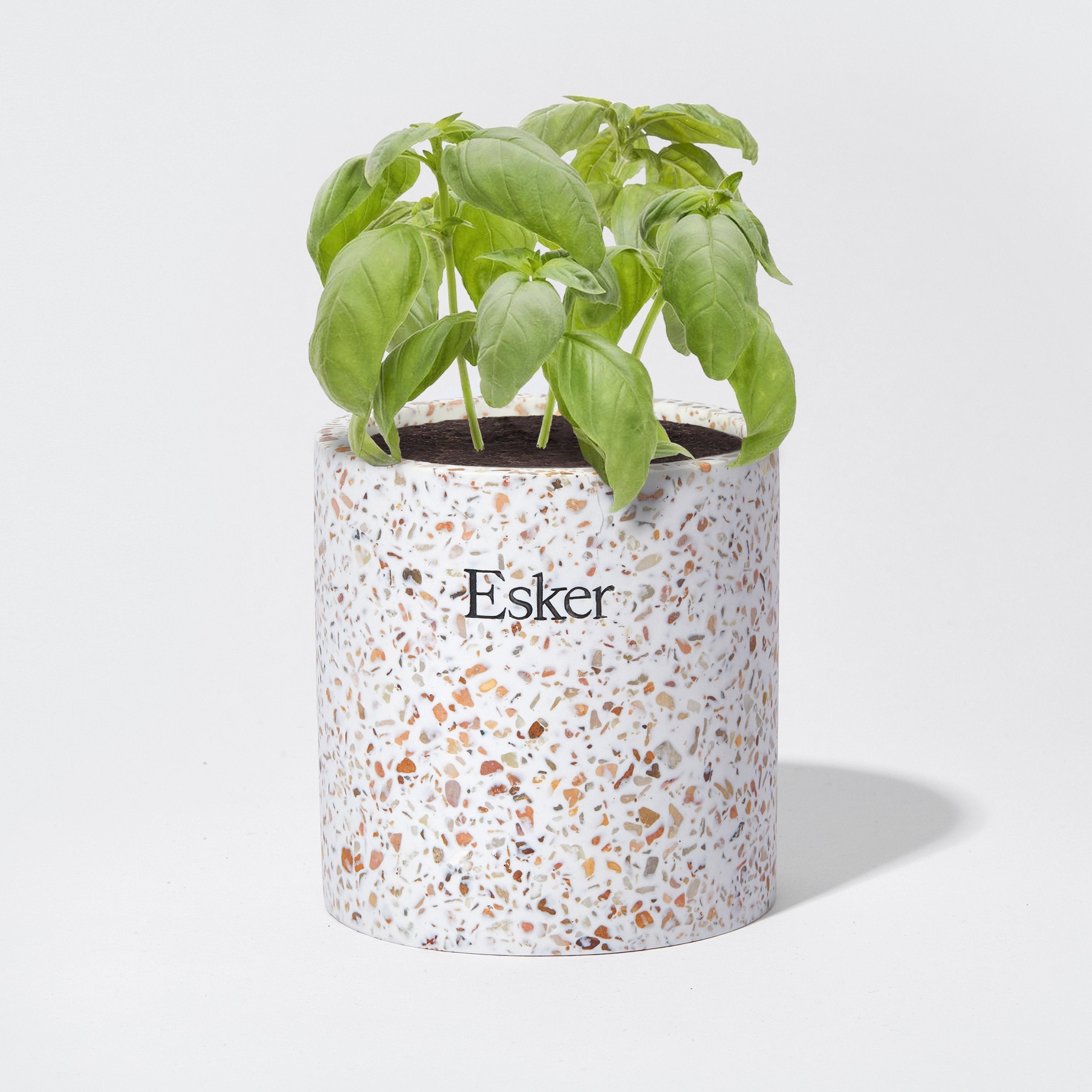  Terrazzo Plantable Candle by Esker Esker Perfumarie