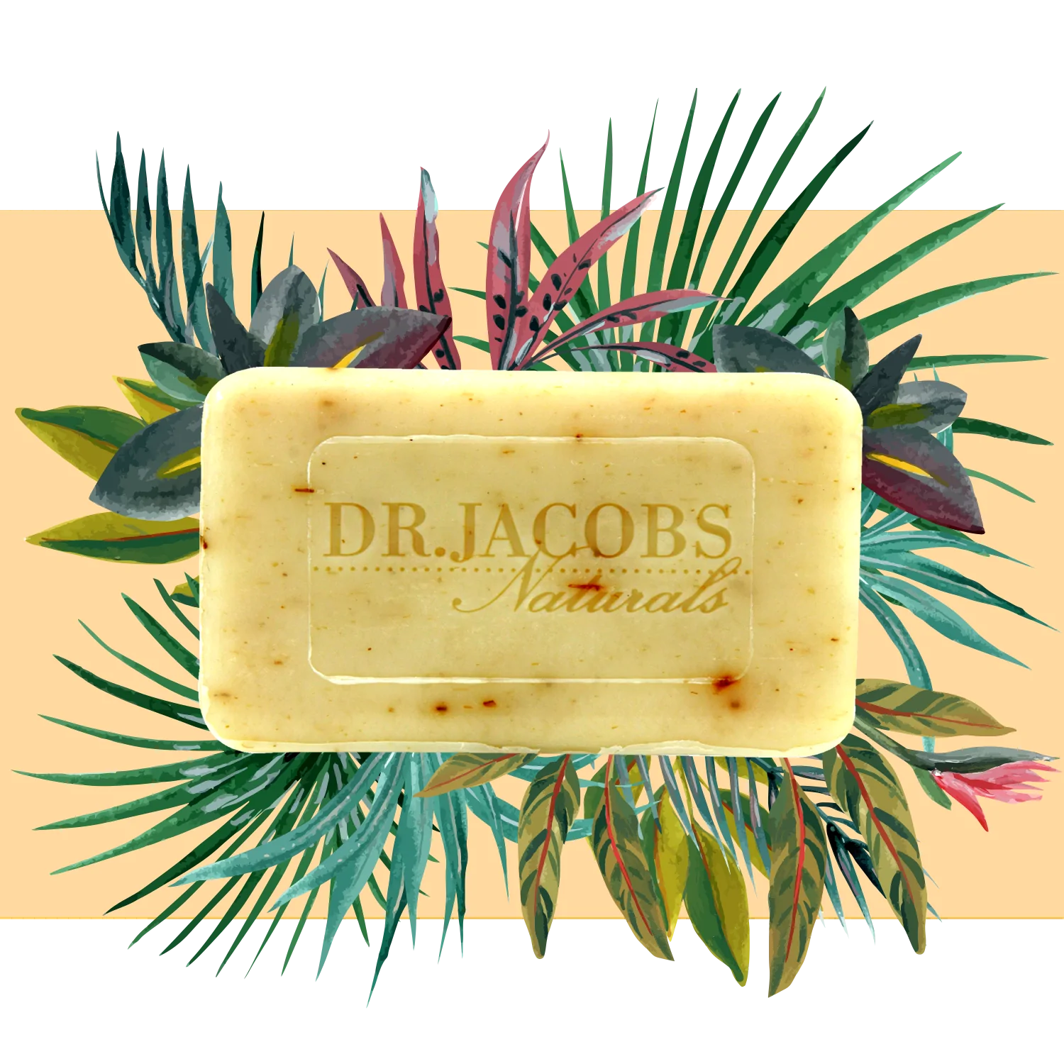  Luscious Lavender by Dr. Jacobs Naturals Dr. Jacobs Naturals Perfumarie