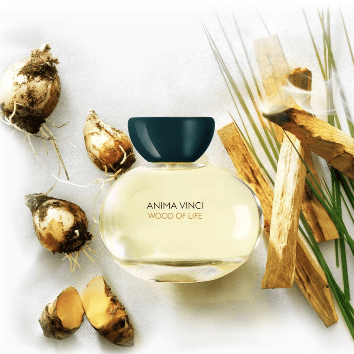 wood-of-life-anima-vinci-